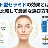 ヒト型セラミドの効果とは？種類を比較して最適な選び方を解説。