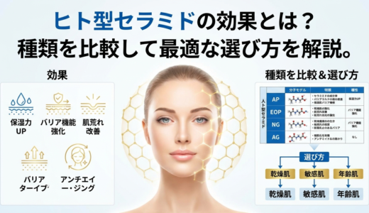 ヒト型セラミドの効果とは？種類を比較して最適な選び方を解説。