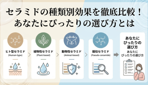 セラミドの種類別効果を徹底比較！あなたにぴったりの選び方とは