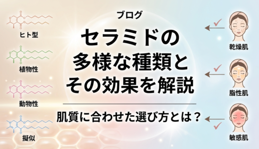 セラミドの多様な種類とその効果を解説。肌質に合わせた選び方とは？