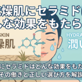 乾燥肌にセラミドはどんな効果をもたらす？その働きと正しい選び方を解説