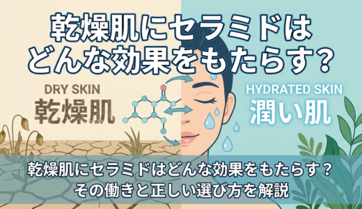 乾燥肌にセラミドはどんな効果をもたらす？その働きと正しい選び方を解説